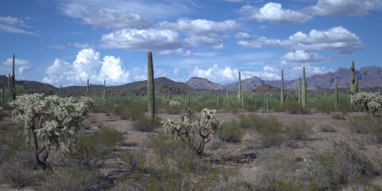 The Pinacate and Great Altar Desert Biosphere Reserve landscapes