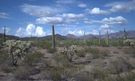 The Pinacate and Great Altar Desert Biosphere Reserve landscapes