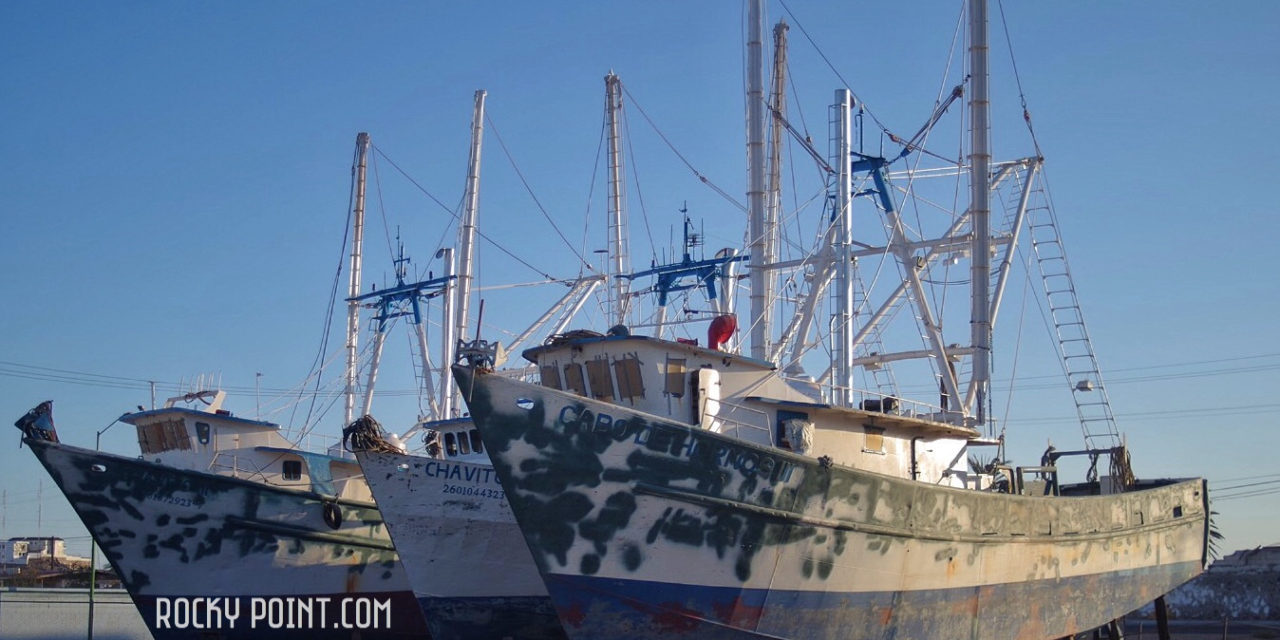 Fishing Boats migrate to dry land!