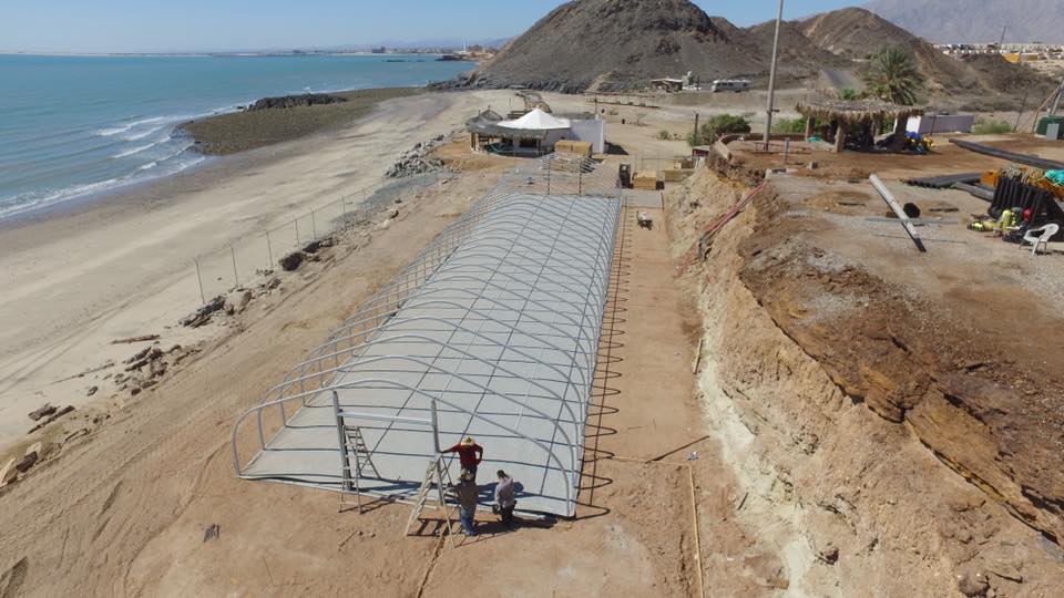 Constructing Rescue Center for the endangered Vaquita