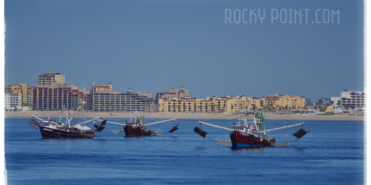 House Hunters program to feature Rocky Point on Thanksgiving