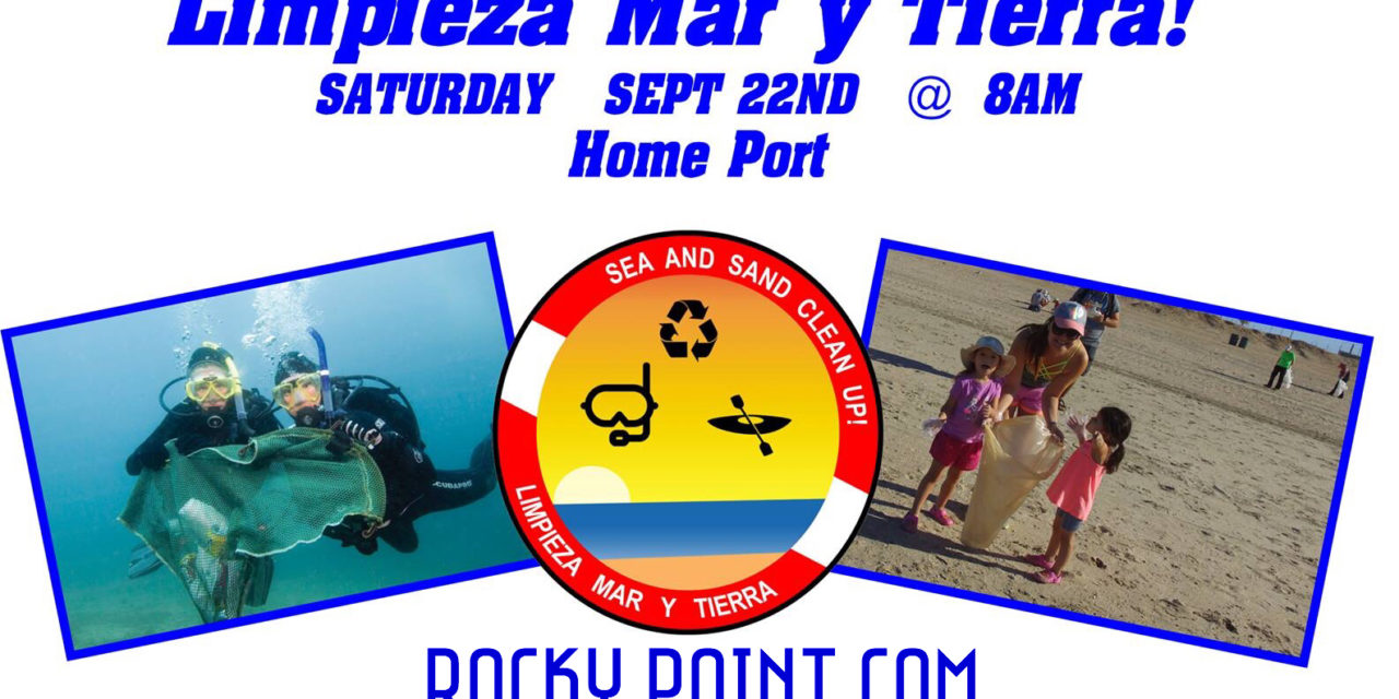 Sea & Sand Beach Cleanup