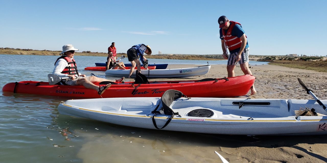 Kayak Tour of Morua Estuary and visit to Oyster Farm