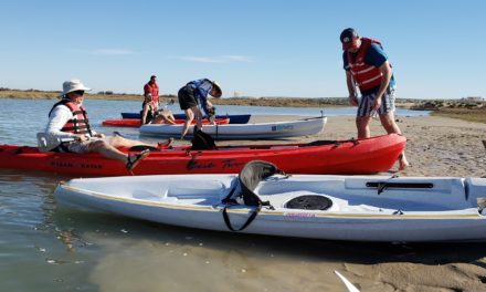 Kayak Tour of Morua Estuary and visit to Oyster Farm