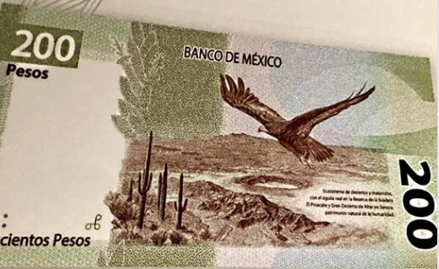Rocky Point landmark on New Mexican $200 peso bill